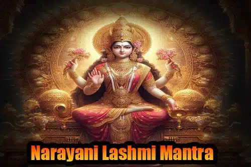 Mata Narayani Lakshmi Mantra For prosperity