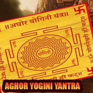 Aghor yogini yantra for wealth & protection